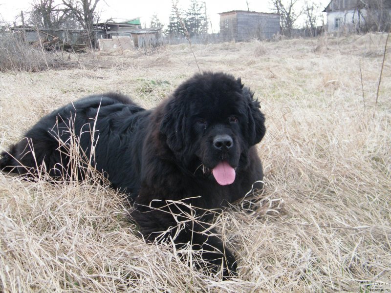 Фотография № 122154