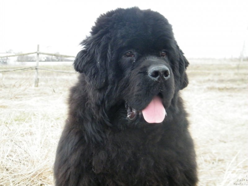 Фотография № 122159