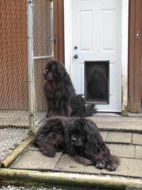 Фотография № 12216