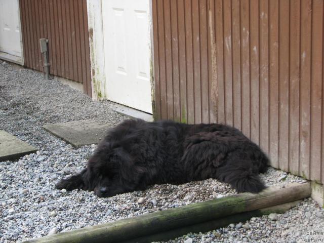 Фотография № 12217