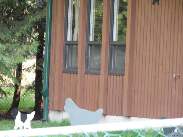 Фотография № 12218