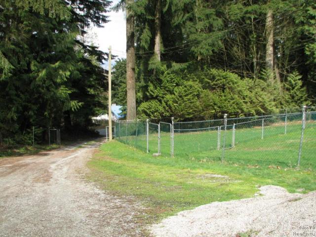 Фотография № 12221