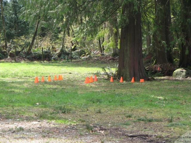 Фотография № 12222