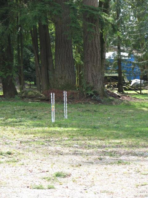 Фотография № 12223