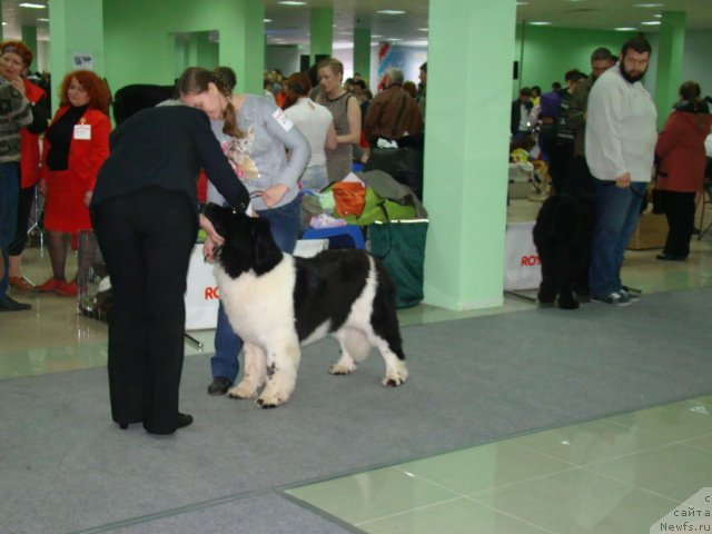 Фотография № 122266