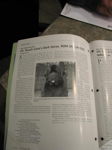 Фотография № 12228