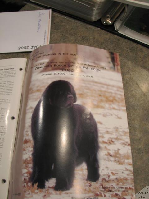 Фотография № 12230