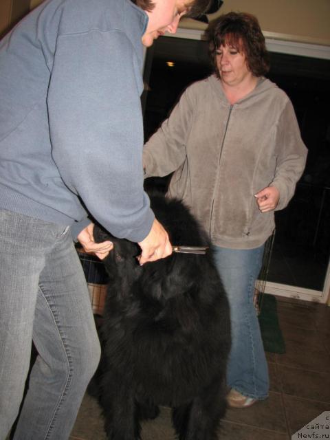 Фотография № 12232