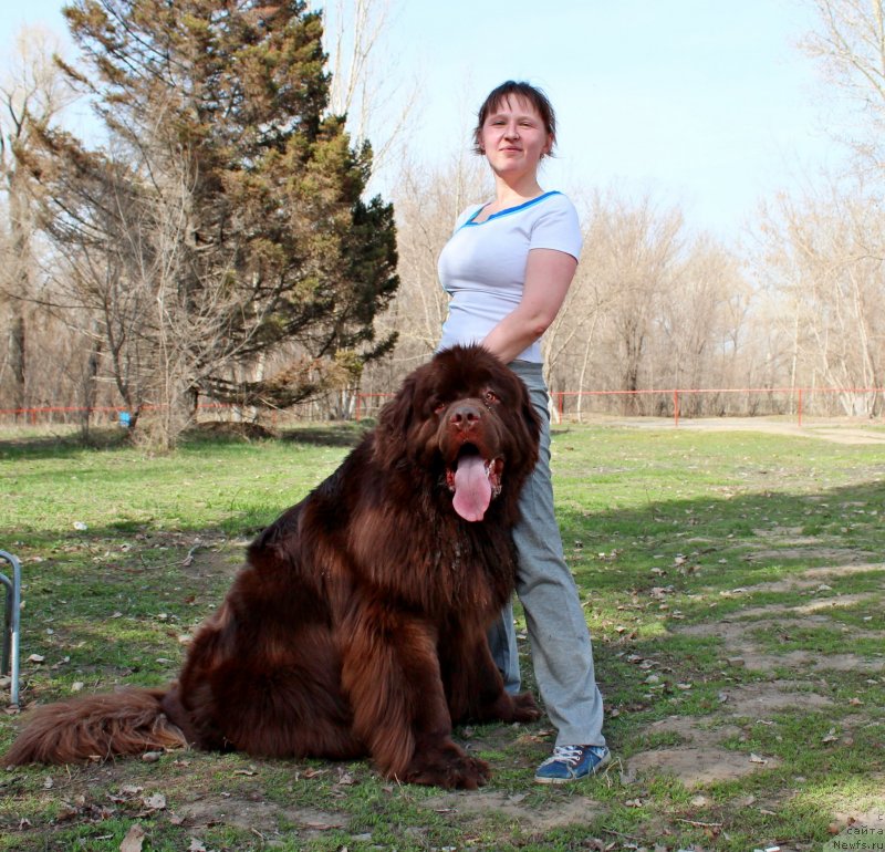 Фотография № 122355