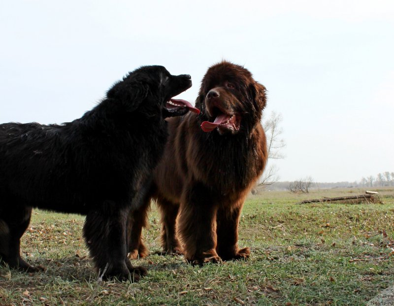 Фотография № 122358