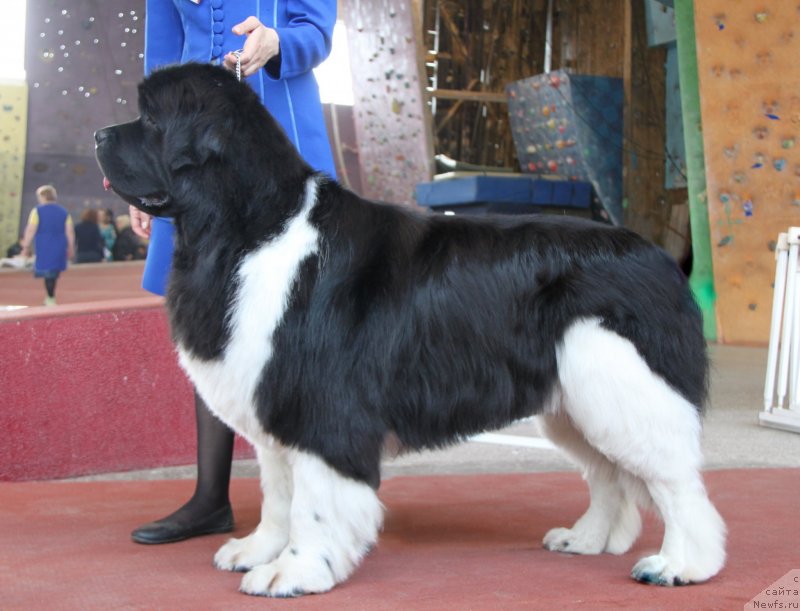 Фотография № 122585