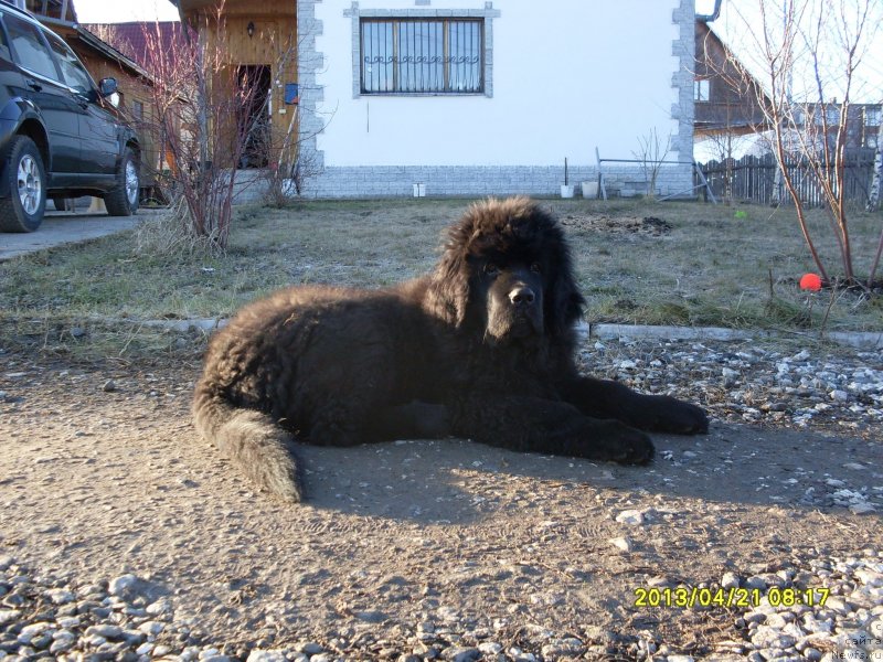 Фотография № 122600