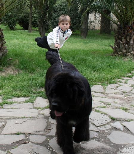 Фотография № 12269