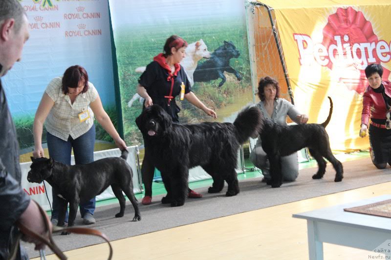 Фотография № 122705