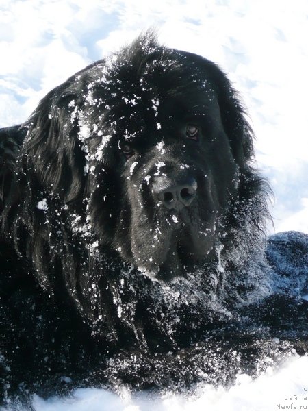 Фотография № 122710