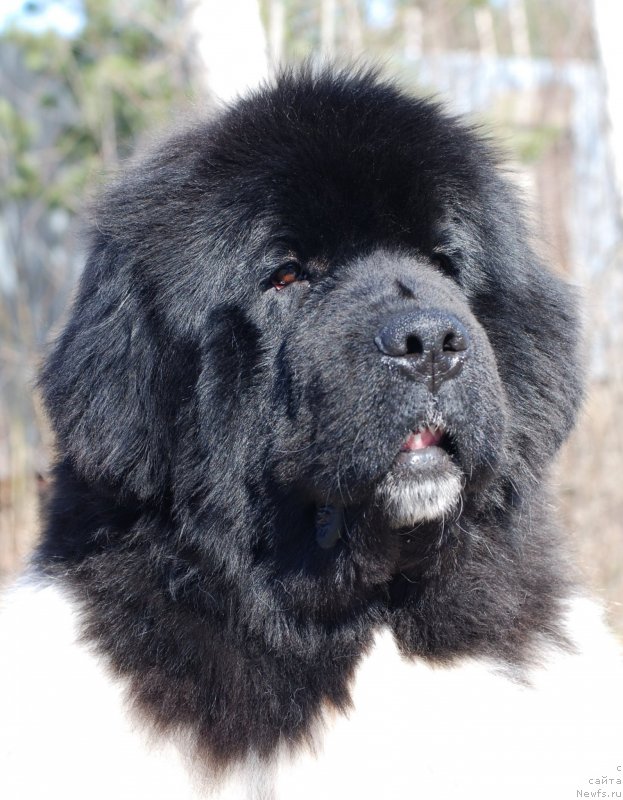 Фотография № 122713