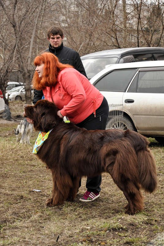 Фотография № 122730