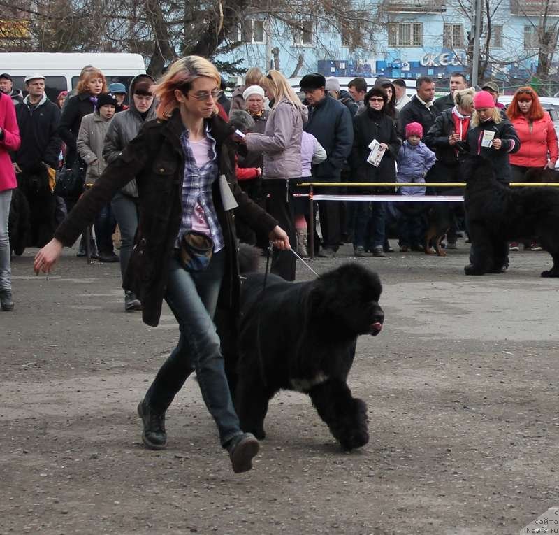 Фотография № 122731