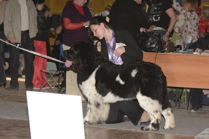 Фотография № 122750