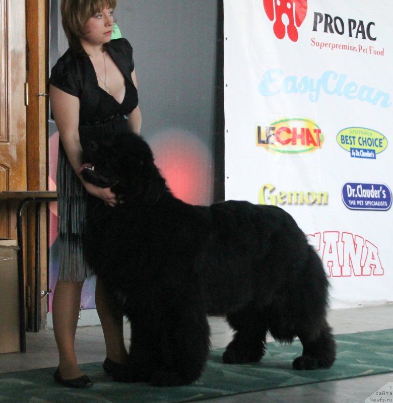 Фотография № 122753