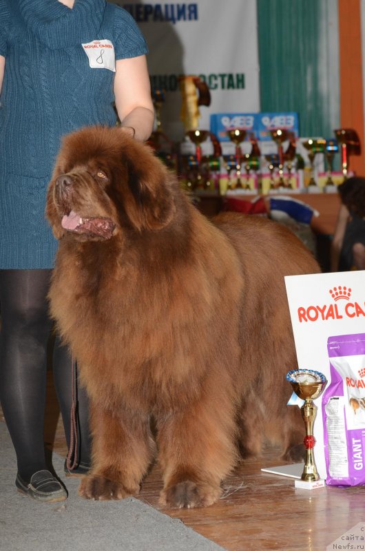 Фотография № 122759