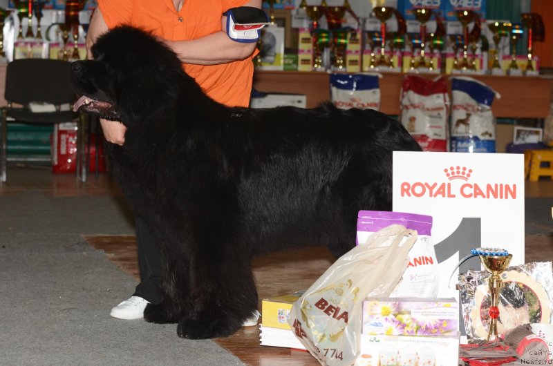 Фотография № 122763