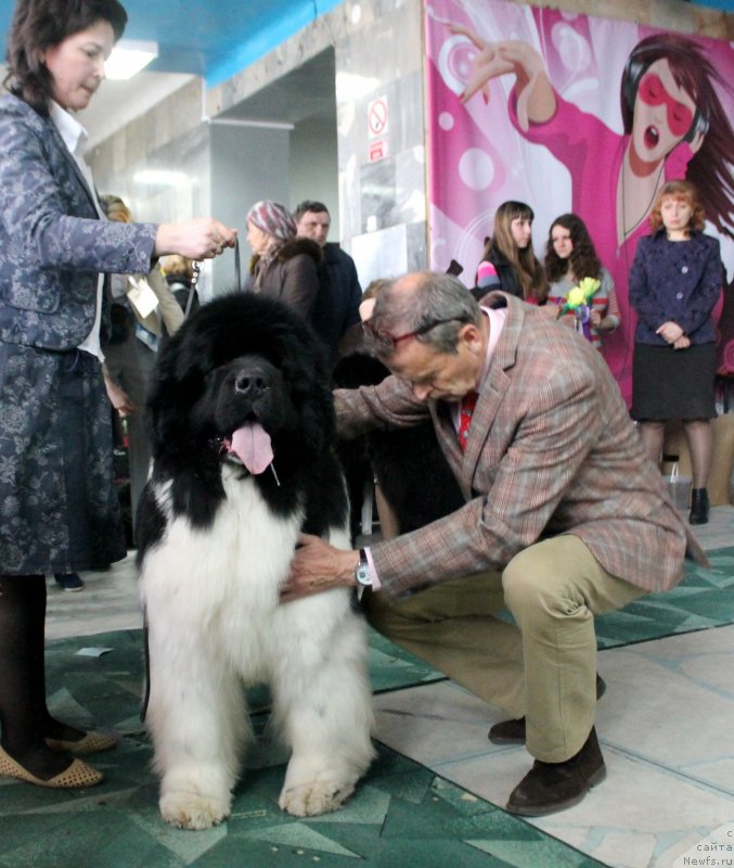 Фотография № 122773