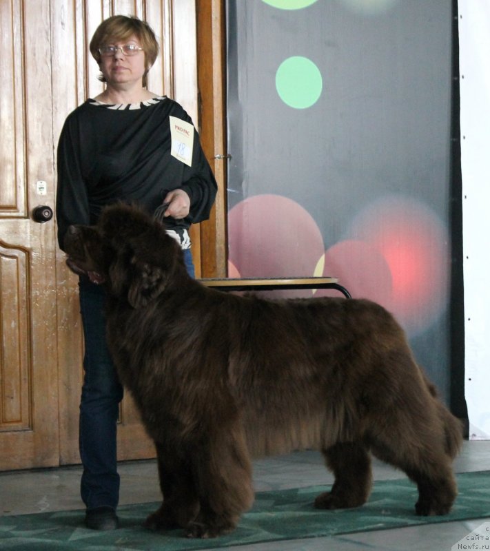 Фотография № 122780