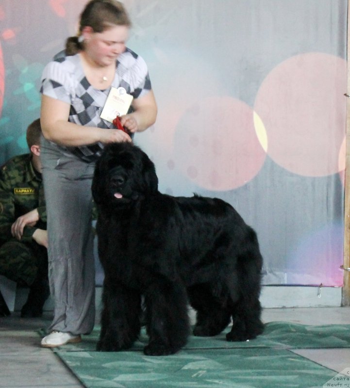 Фотография № 122782