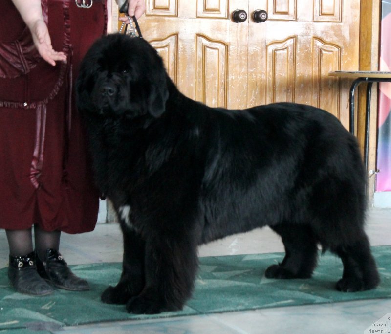 Фотография № 122786