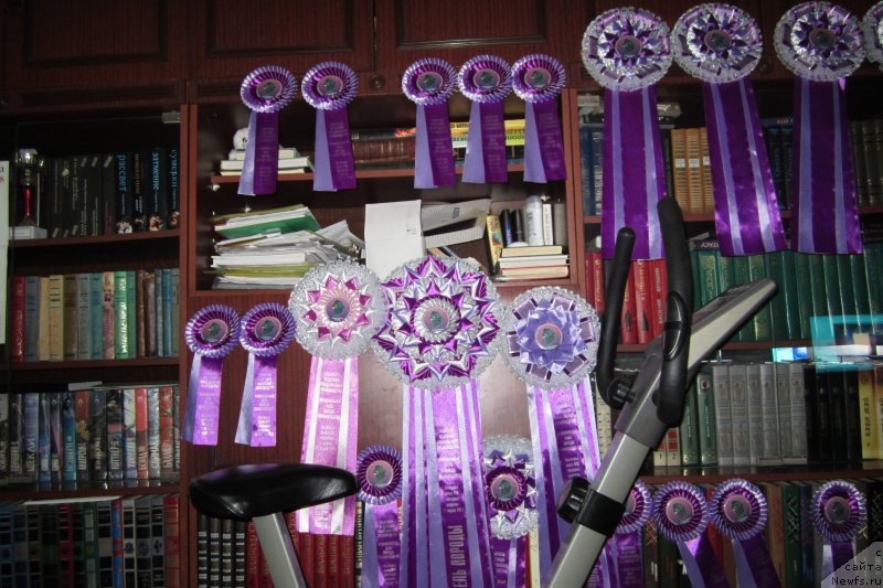 Фотография № 122797