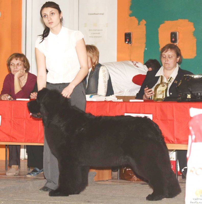 Фотография № 122803