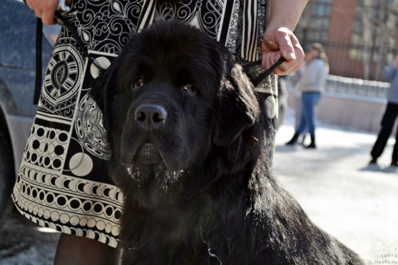 Фотография № 122811