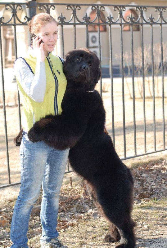 Фотография № 122828