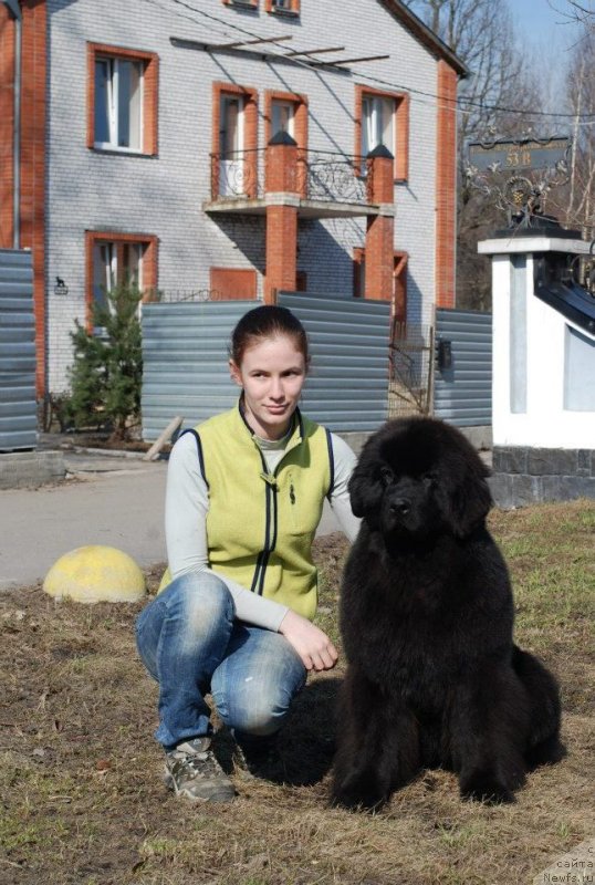 Фото: Fluffy Avalanche Exclusive Dream