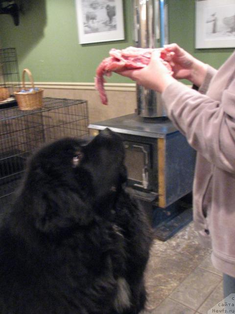 Фотография № 12283