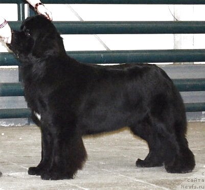 Фотография № 122856