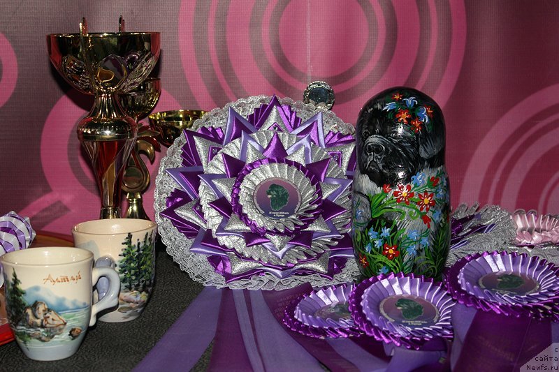 Фотография № 122865