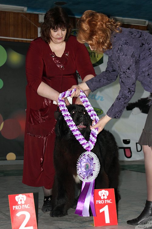 Фотография № 122867