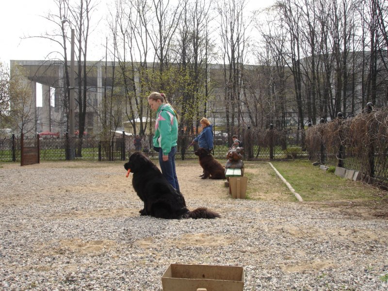 Фотография № 122869