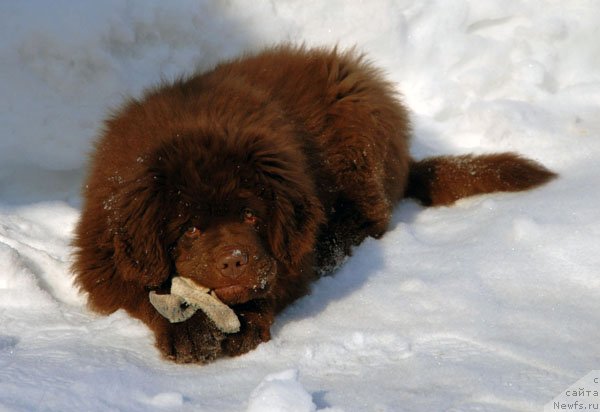 Фотография № 122891