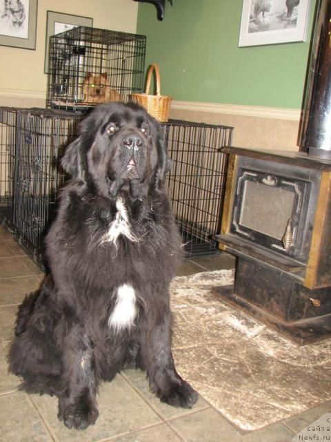 Фото: Castanewf's In Reality