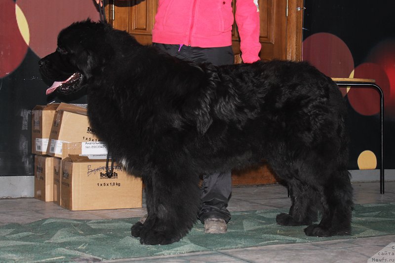 Фотография № 122904