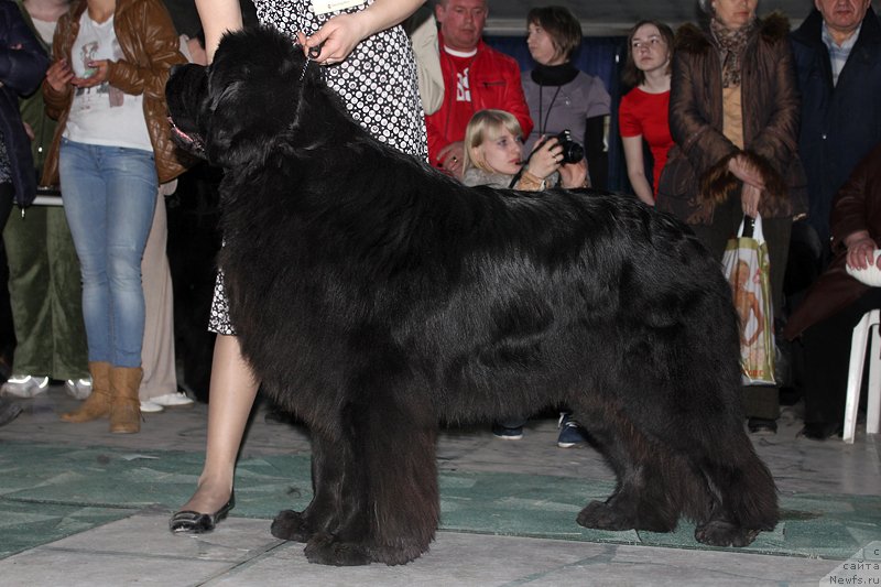 Фотография № 122921