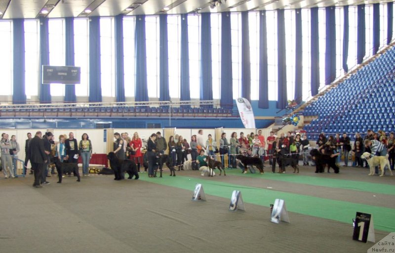 Фотография № 123005