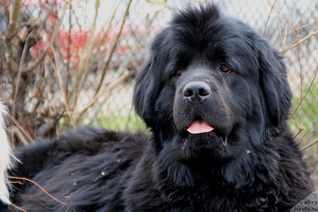 Фотография № 123018