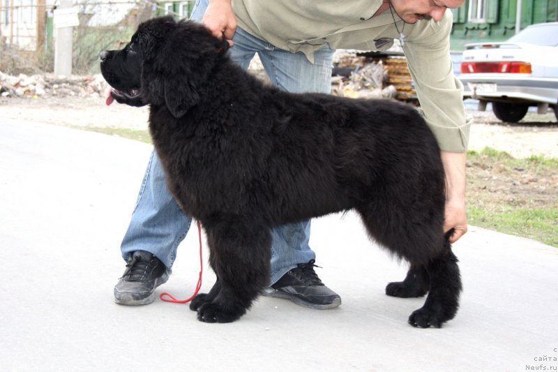 Фотография № 123046