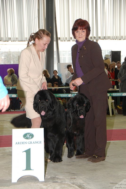 Фотография № 123065