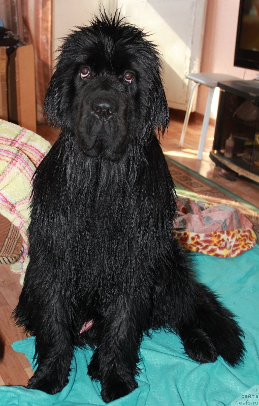 Фотография № 123073