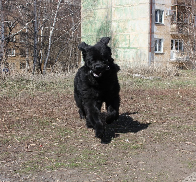 Фотография № 123074